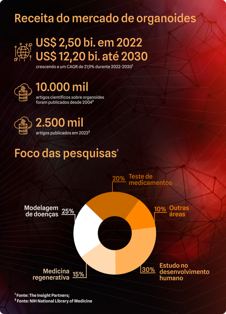 infográfico-organoide 